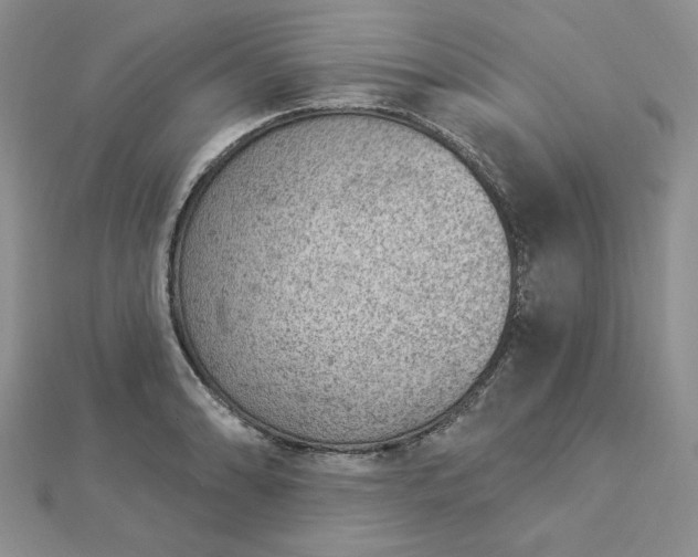 X0000112781086200908271658