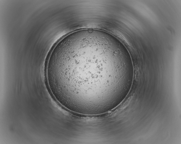 X0000112781087200908271658