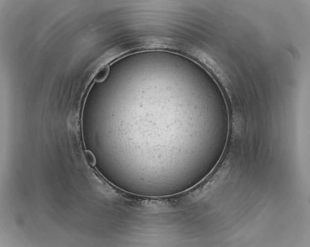 X0000112781089200908271658