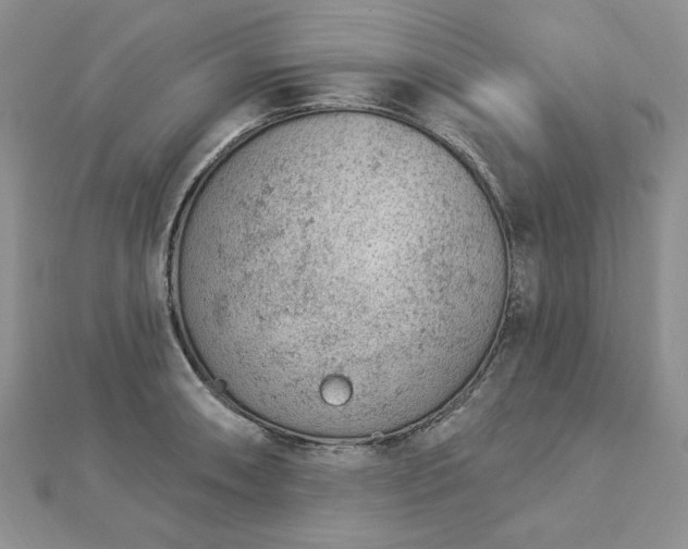 X0000112781090200908271658