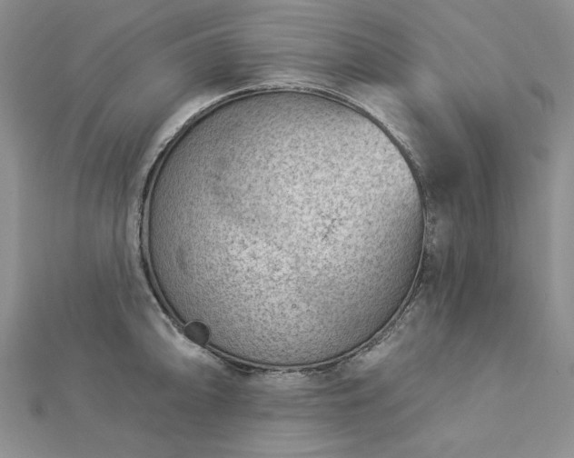 X0000112781094200908271658