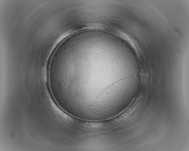 X0000112781095200908271658