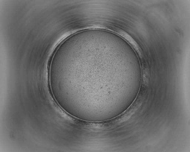 X0000112781096200908271658