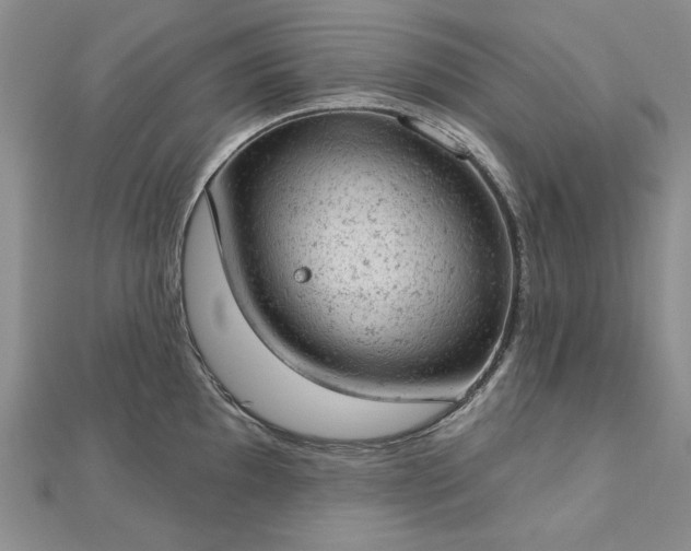 X0000112781097200908271658