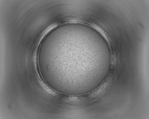 X0000112781098200908271658