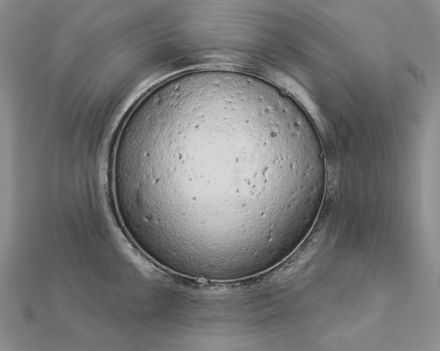 X0000112781099200908271658