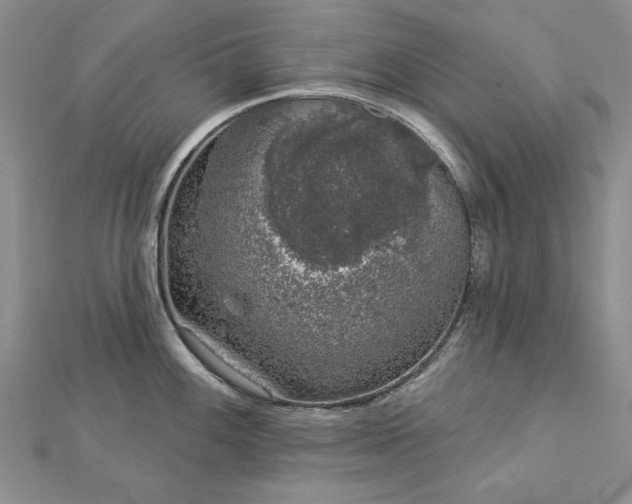 X0000112781100200908271658