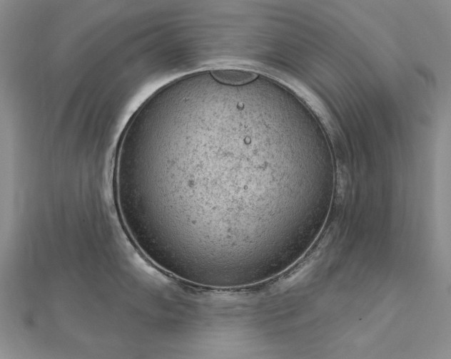 X0000112781102200908271658