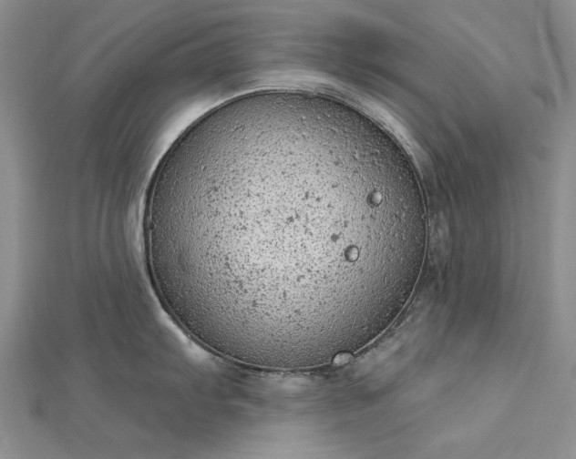 X0000112781103200908271658