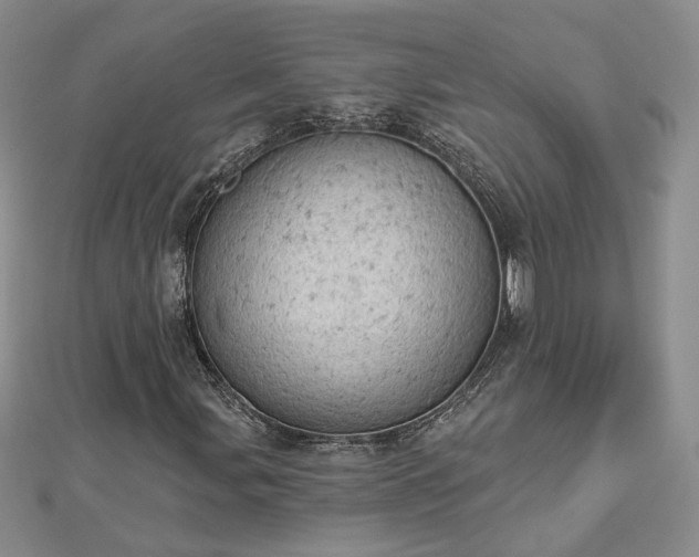 X0000112781107200908271657