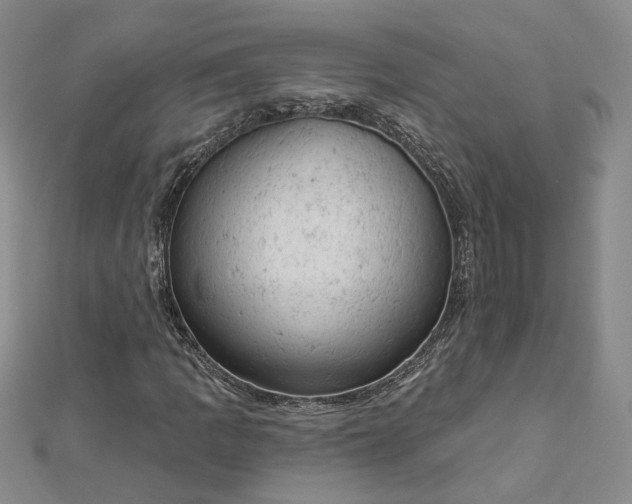 X0000112781109200908271657