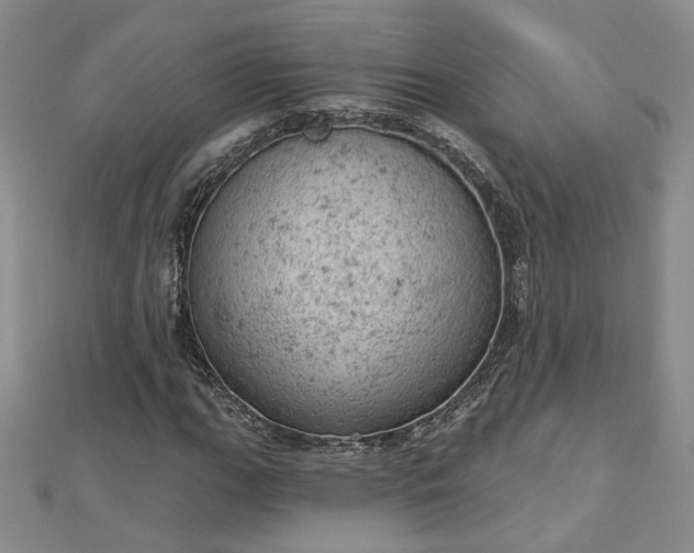 X0000112781111200908271657