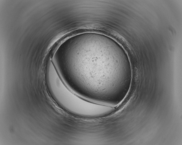 X0000112781114200908271657