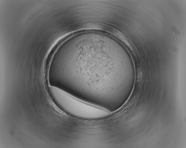 X0000112781116200908271657