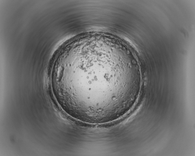 X0000112781117200908271657