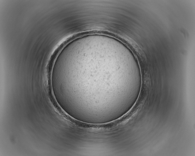 X0000112781118200908271657