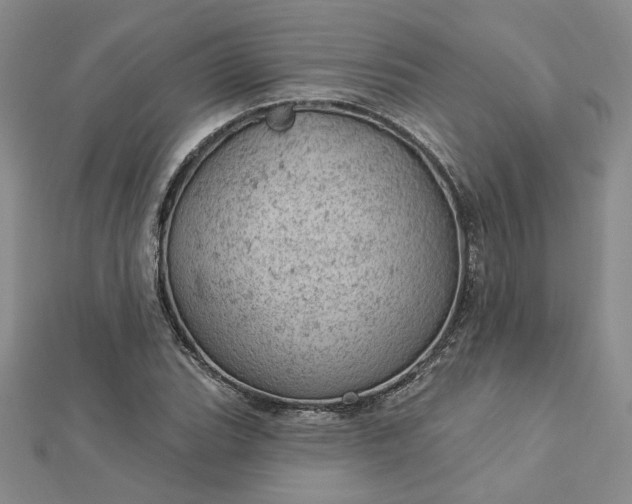 X0000112781119200908271657