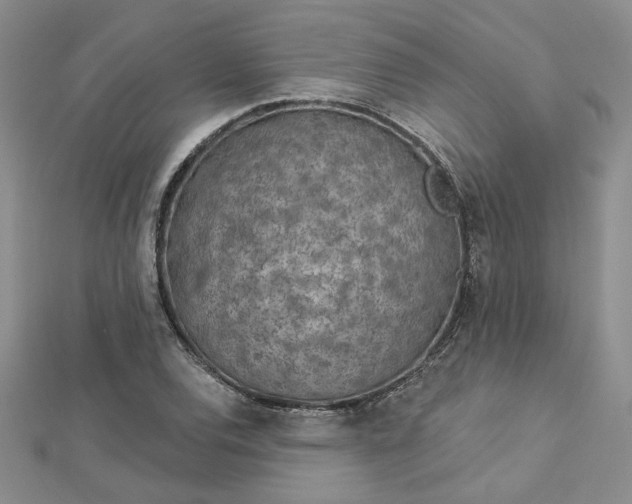 X0000112781120200908271657