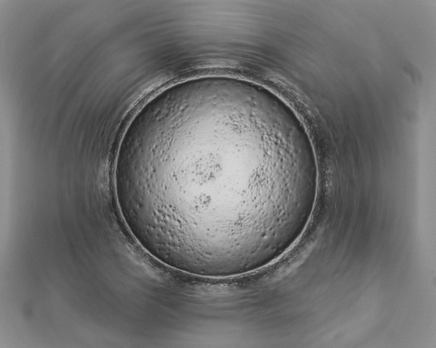 X0000112781121200908271657