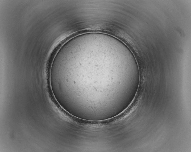 X0000112781122200908271657