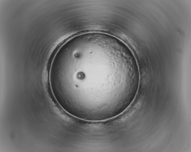 X0000112781125200908271657