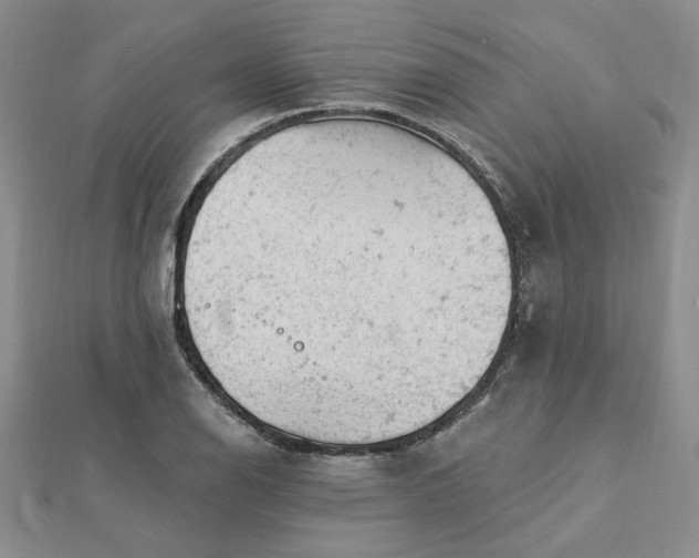 X0000112781126200908271657