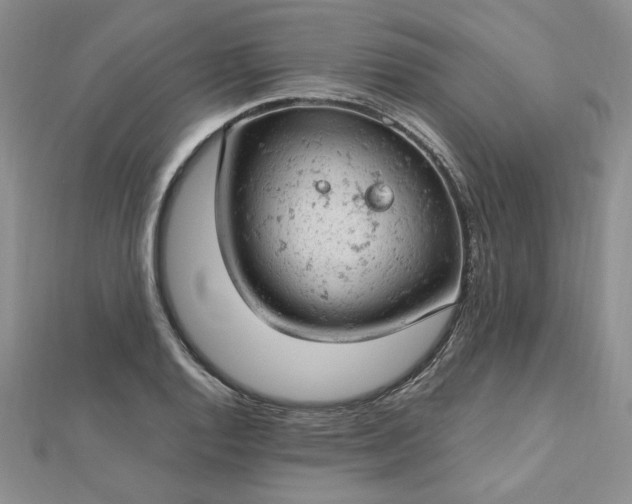 X0000112781128200908271657