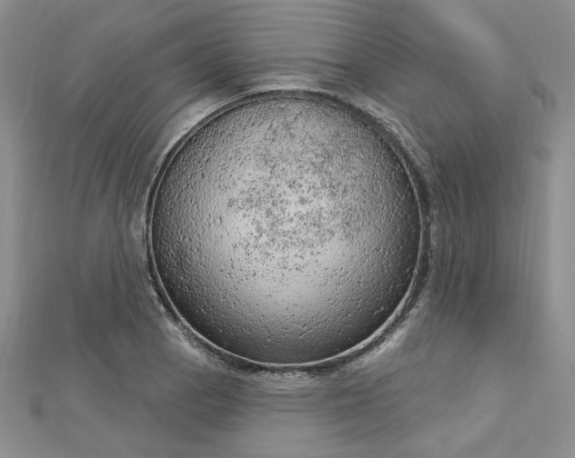 X0000112781129200908271658