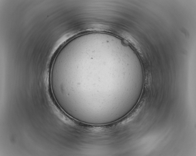 X0000112781130200908271658