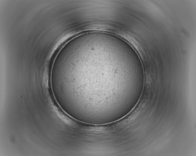 X0000112781131200908271658