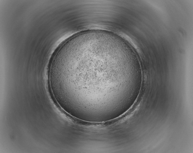 X0000112781133200908271658