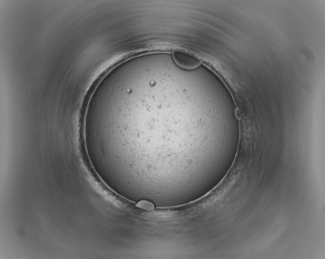 X0000112781134200908271658