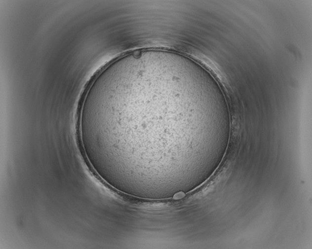 X0000112781135200908271658