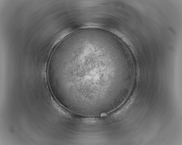 X0000112781137200908271658