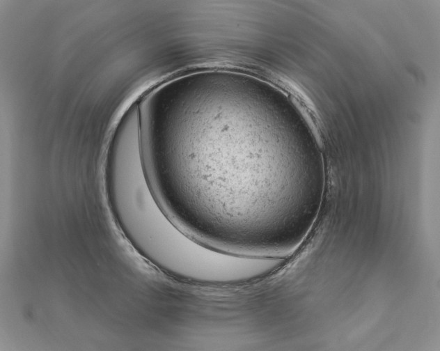 X0000112781138200908271658