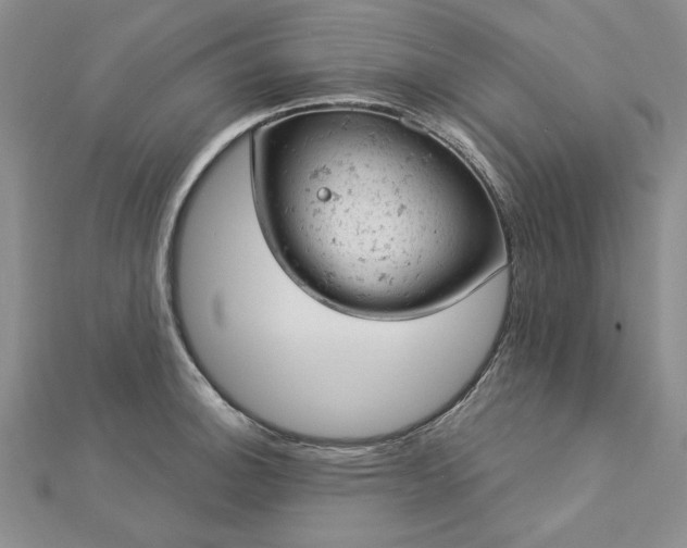 X0000112781140200908271658