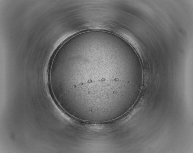 X0000112781141200908271658