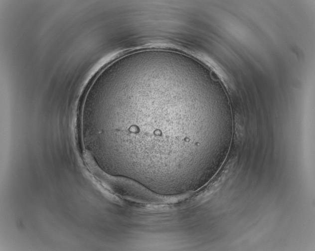 X0000112781142200908271658