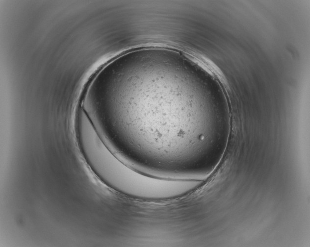 X0000112781144200908271658