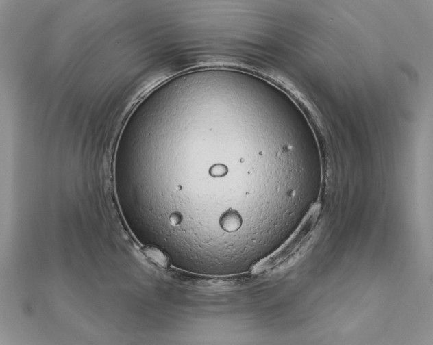 X0000112781145200908271658