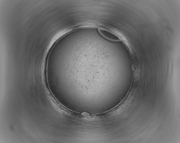 X0000112781146200908271658