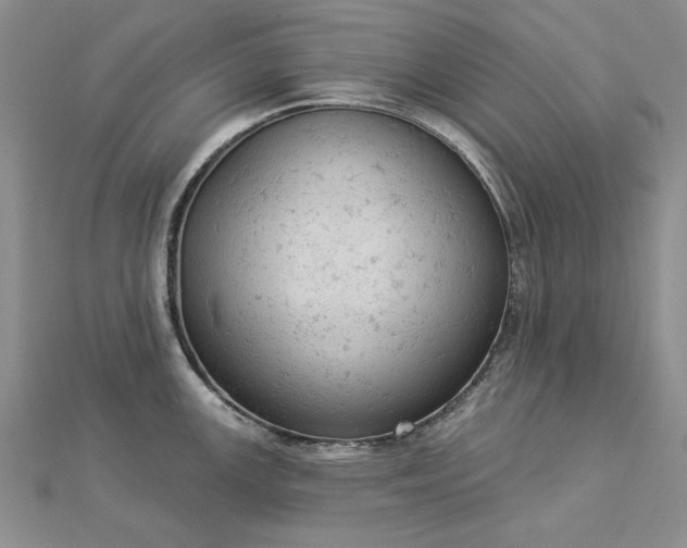 X0000112781147200908271658