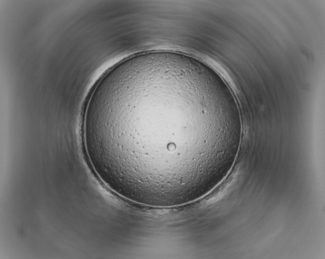 X0000112781149200908271658