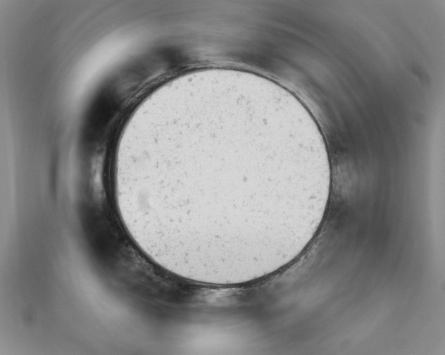 X0000112781150200908271658