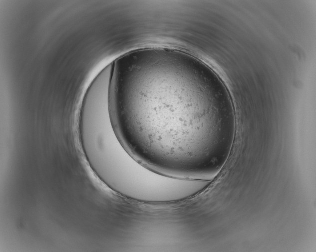 X0000112781152200908271658