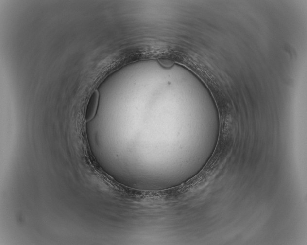 X0000112781153200908271657