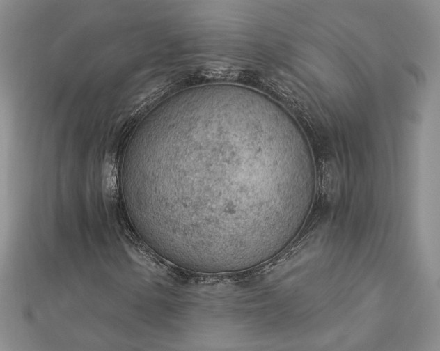 X0000112781154200908271657