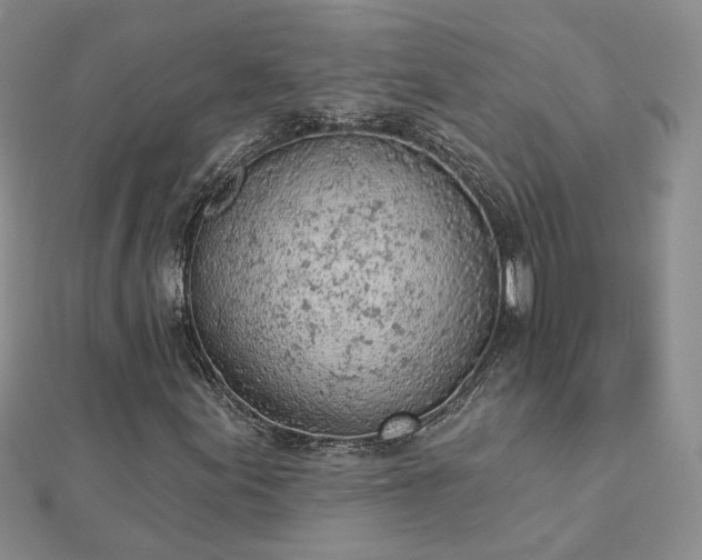 X0000112781155200908271657