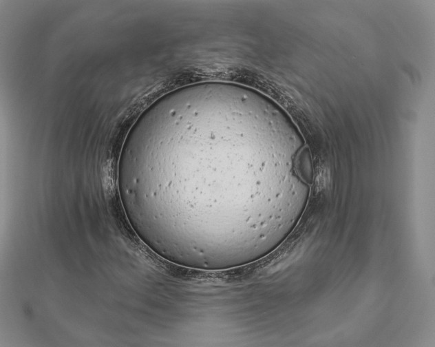 X0000112781156200908271657