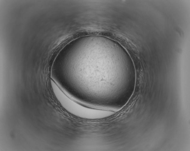 X0000112781157200908271657